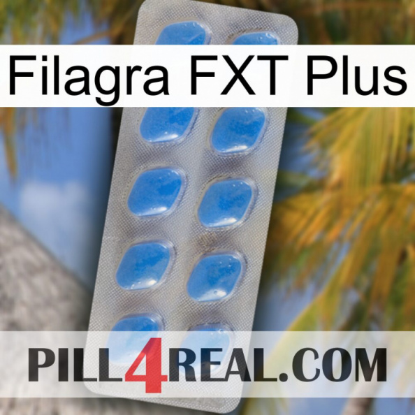 Filagra FXT Plus 22.jpg